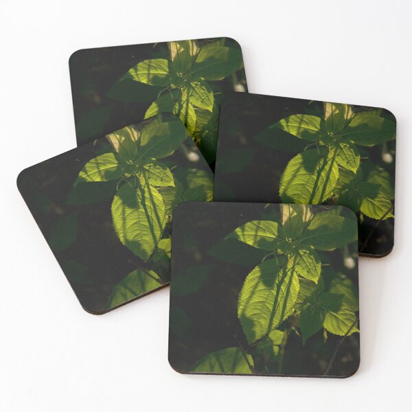 Item preview, Green leaf designed and sold by Milan Latta.