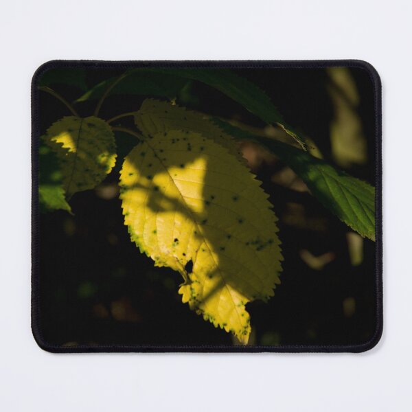 Item preview, Yellow leaf designed and sold by Milan Latta.