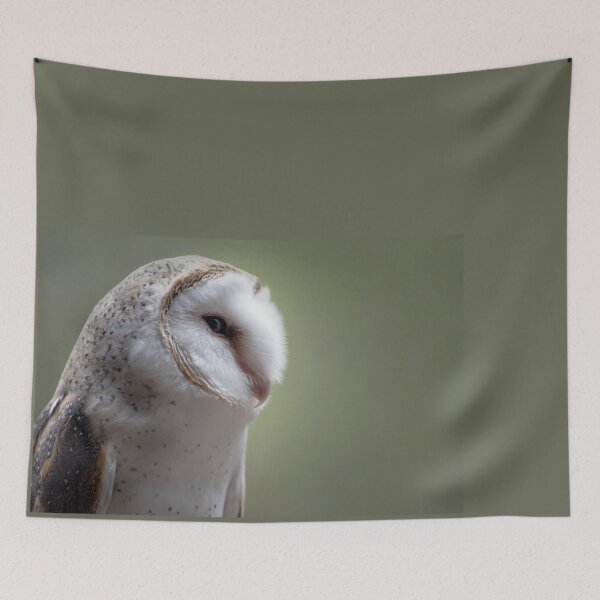 Item preview, Ivy the barn owl on profile designed and sold by BroomstickMagic by Dani Musicka.