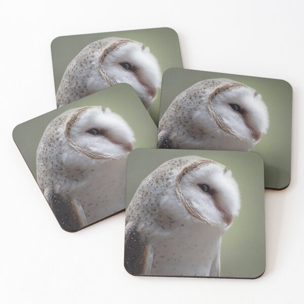 Item preview, Ivy the barn owl on profile designed and sold by BroomstickMagic by Dani Musicka.