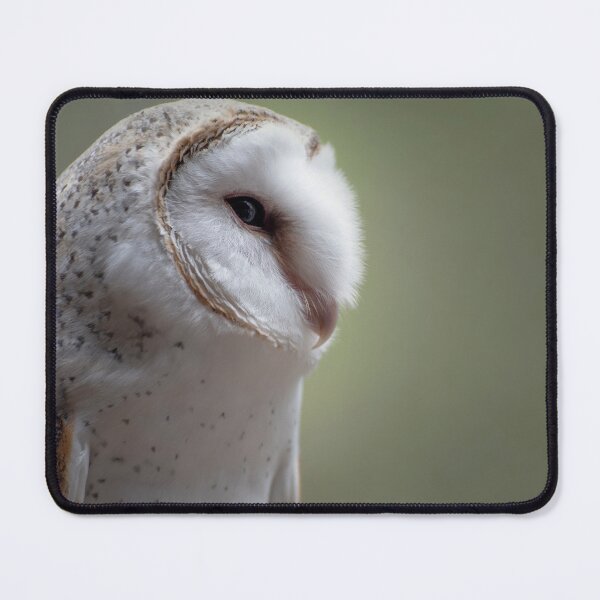 Item preview, Ivy the barn owl on profile designed and sold by BroomstickMagic by Dani Musicka.