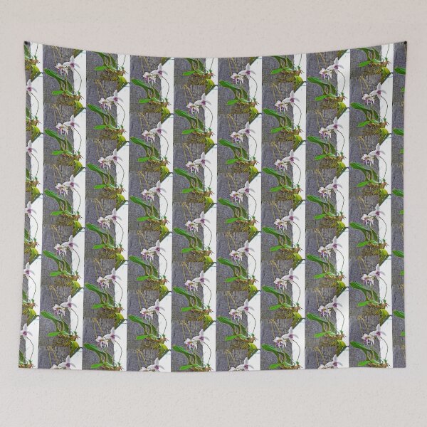 Item preview, Sherman Gardens Study 23  designed and sold by Robert Meyers-Lussier.