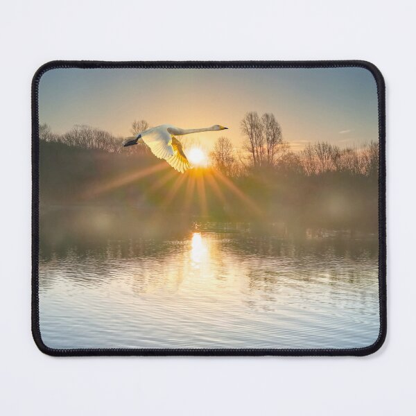 Item preview, Flying Swan designed and sold by Alisonchambers2.