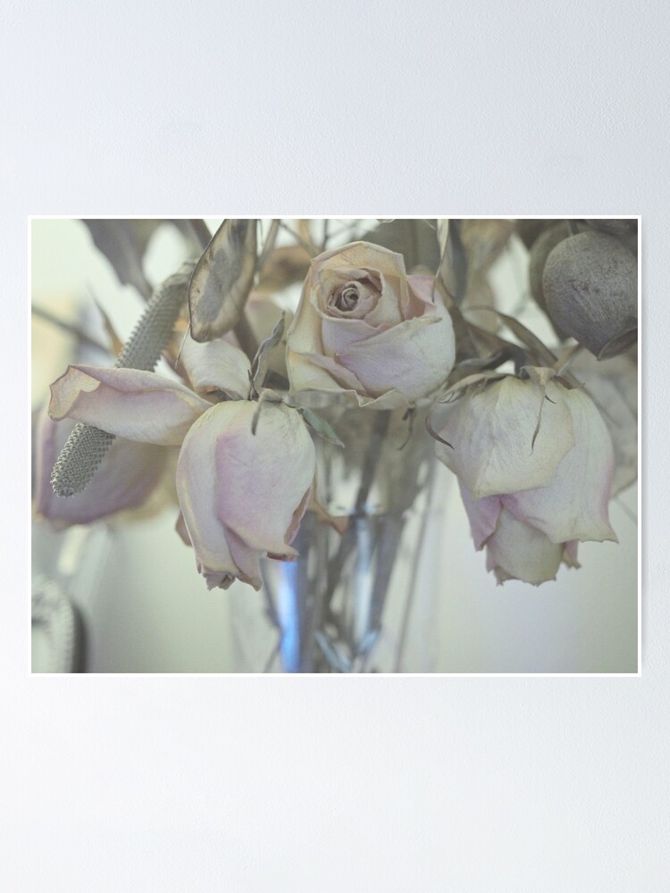 Thumbnail 1 of 3, Poster, Faded Roses  designed and sold by kaycam.