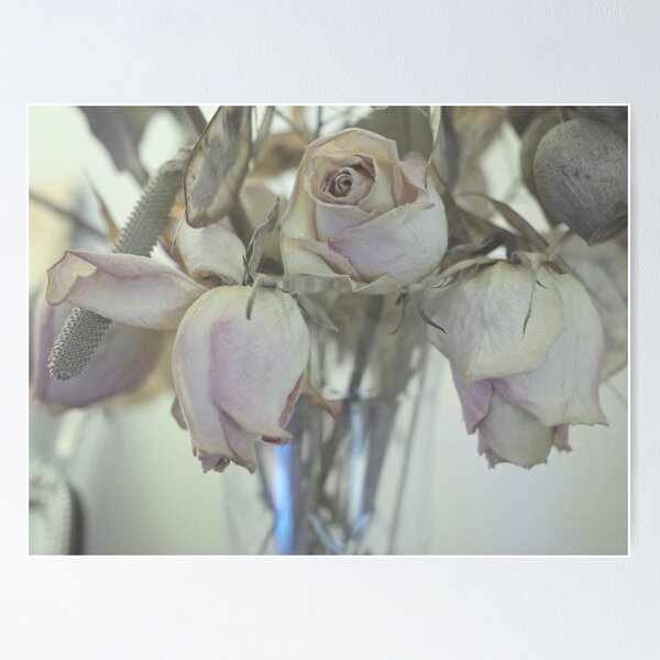 Item preview, Faded Roses designed and sold by Karen E Camilleri.