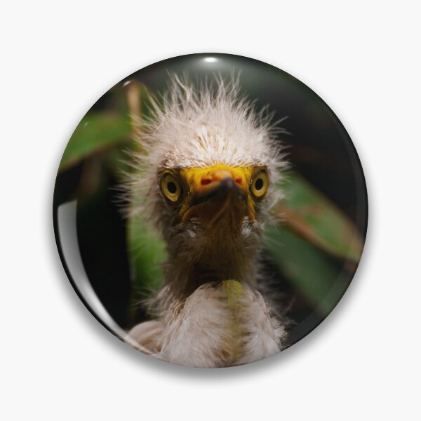 Item preview, White egret chick in the nest. Cute bird.  designed and sold by kstanvir.