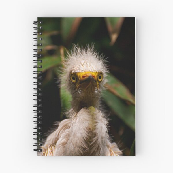 Item preview, White egret chick in the nest. Cute bird.  designed and sold by kstanvir.