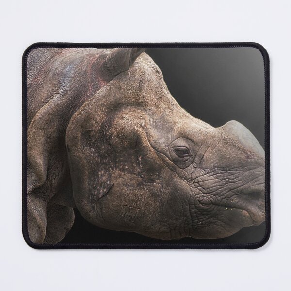 Item preview, Indian Rhinoceros Portrait designed and sold by Darren Wilkes Wildlife UK.