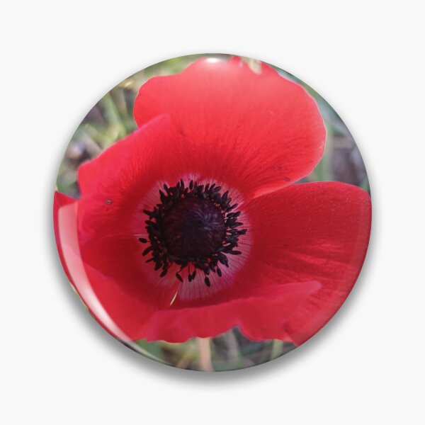 Item preview, Anemone designed and sold by GoldsteinART.