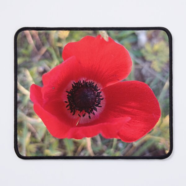 Item preview, Anemone designed and sold by GoldsteinART.