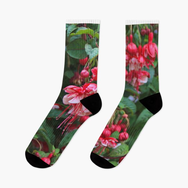 Item preview, Red and white fuchsias in bloom designed and sold by FranWest.
