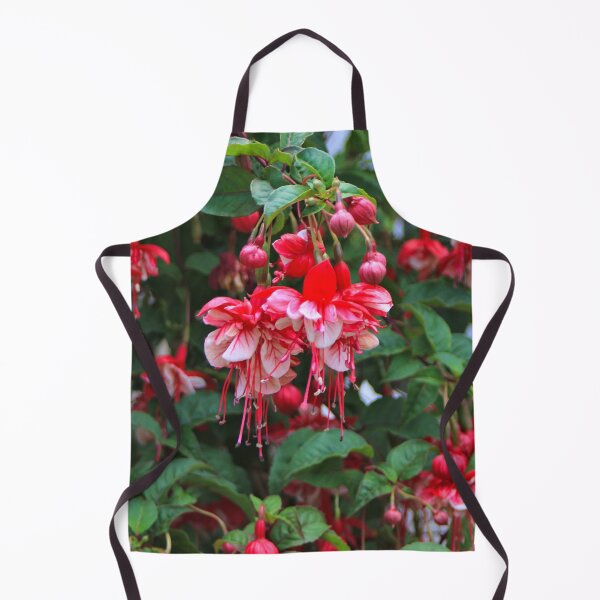 Item preview, Red and white fuchsias in bloom designed and sold by FranWest.