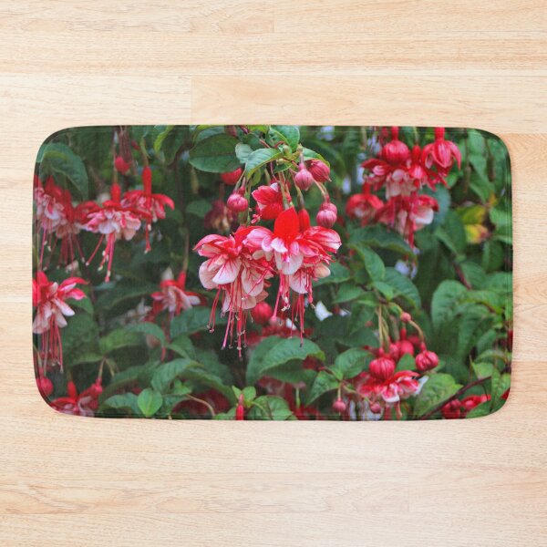 Item preview, Red and white fuchsias in bloom designed and sold by FranWest.