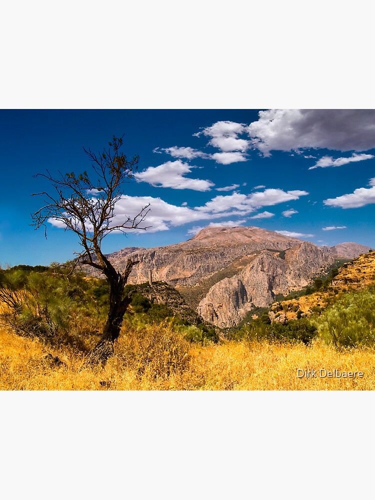 Death tree by Delbaere