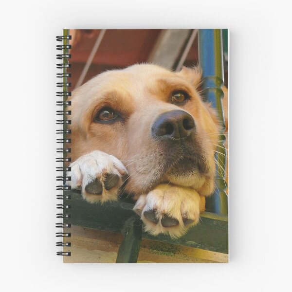 Item preview, The look of Love :) designed and sold by Tereza Pilar  Art.