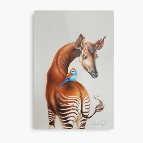 Okapi by Maria Tiqwah Metal Print