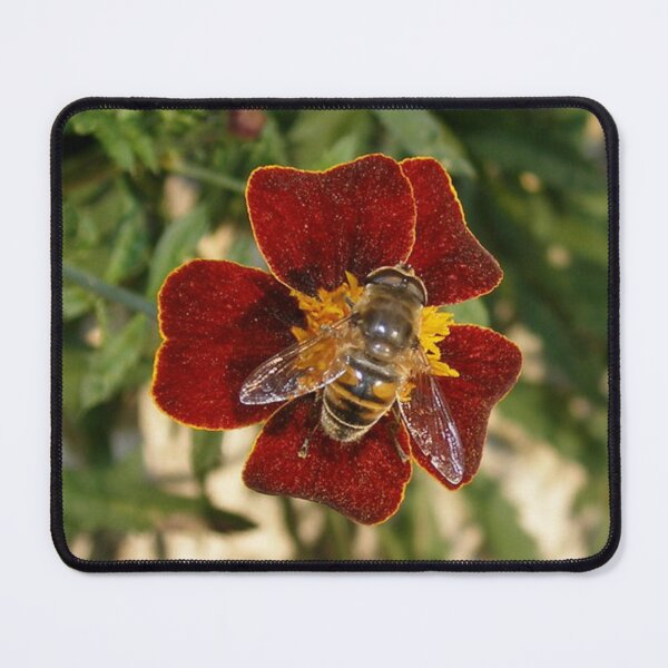 Item preview, busy little bee designed and sold by tonimata.