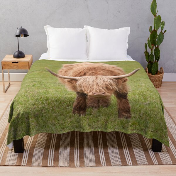 Item preview, Highland Cow #8 #wall #art designed and sold by Anita's & Bella's Art.