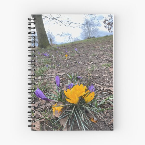 Item preview, Spring Crocus designed and sold by Paddyb17.