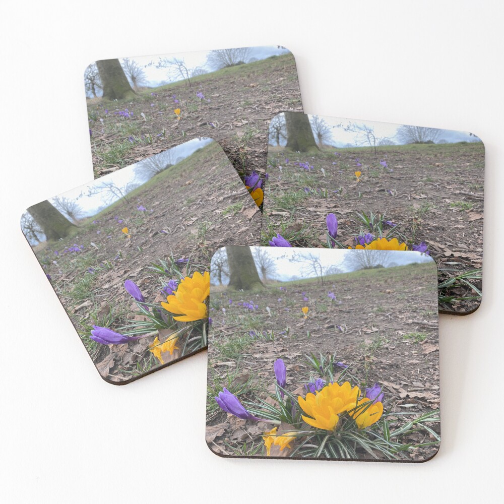 Item preview, Coasters (Set of 4) designed and sold by Paddyb17.