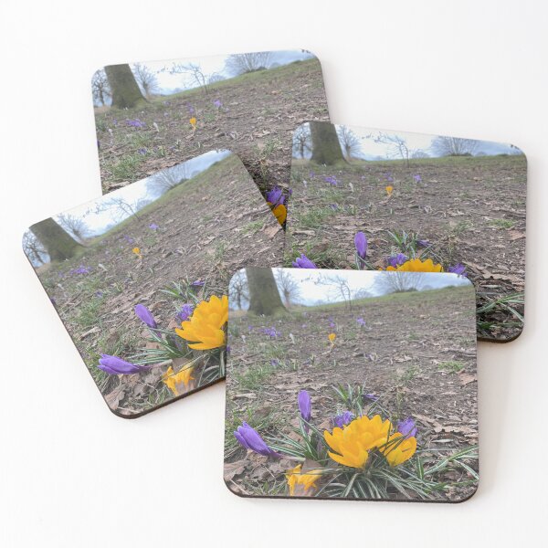 Item preview, Spring Crocus designed and sold by Paddyb17.