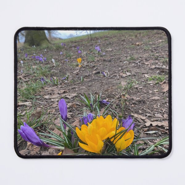 Item preview, Spring Crocus designed and sold by Paddyb17.