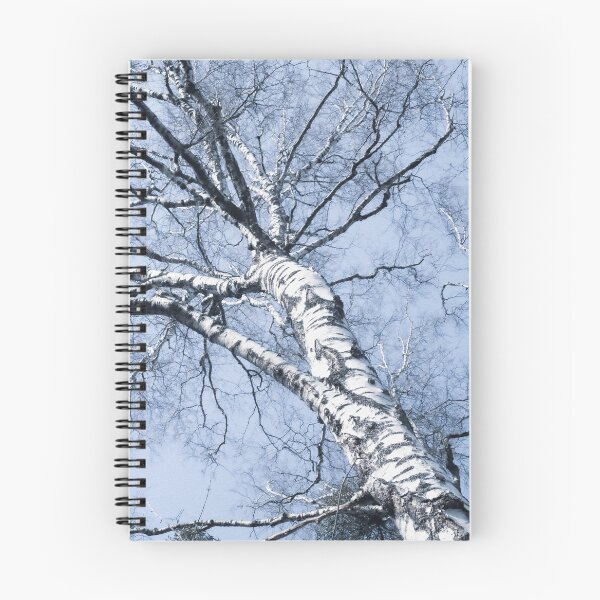 Item preview, Fall Birch Tree #1 #wall #decor #art  designed and sold by Anita's & Bella's Art.