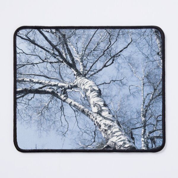 Item preview, Fall Birch Tree #1 #wall #decor #art  designed and sold by Anita's & Bella's Art.