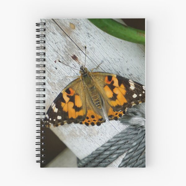 Item preview, butterfly designed and sold by StudebakerAcres.