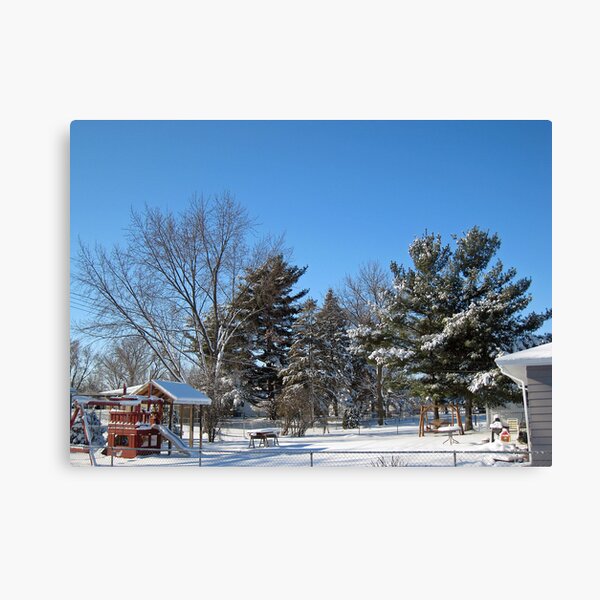 Through the Back Yards Canvas Print