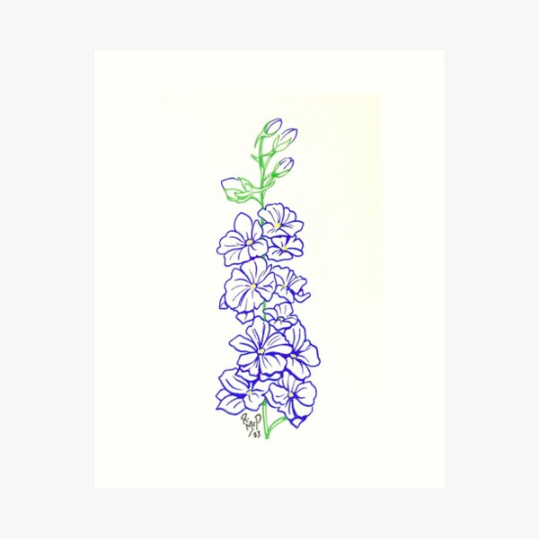 Delphinium Flower Art Print