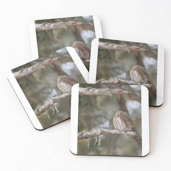 Item preview, Pigmy Owl in the french Alps designed and sold by Eric Tchijakoff.