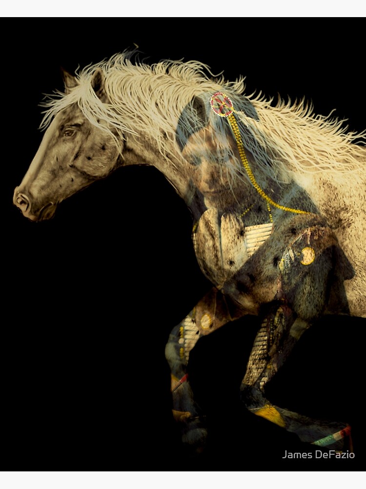 Appaloosa Spirit Mustang