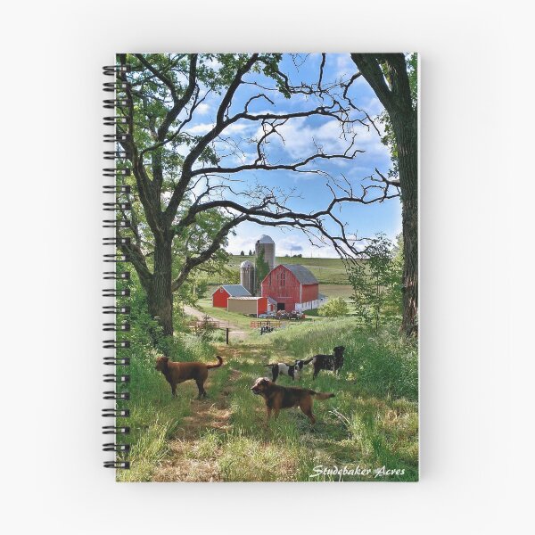 Item preview, Farmette designed and sold by StudebakerAcres.