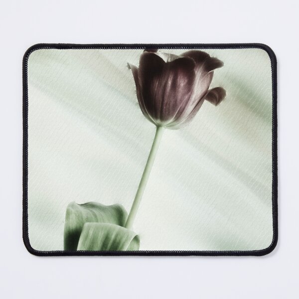 Item preview, Springtime Tulip designed and sold by James DeFazio.