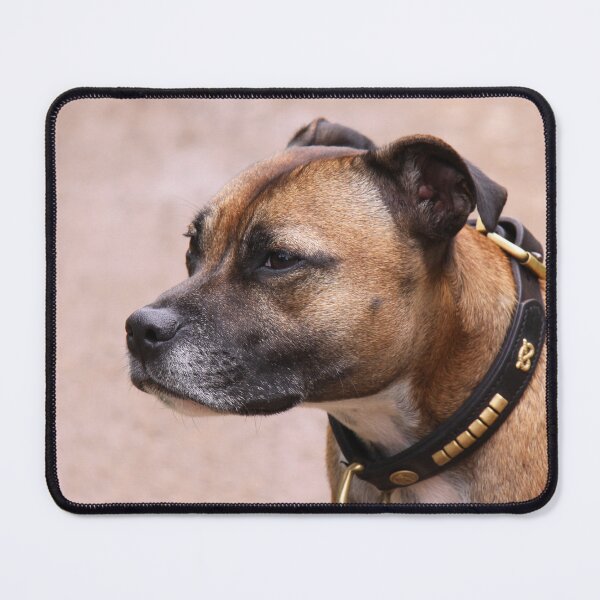 Item preview, Staffordshire Bull Terrier designed and sold by ljm000.