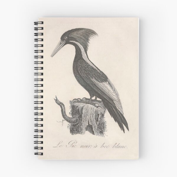Item preview, Black Throated Gray Warbler designed and sold by ptMaker.
