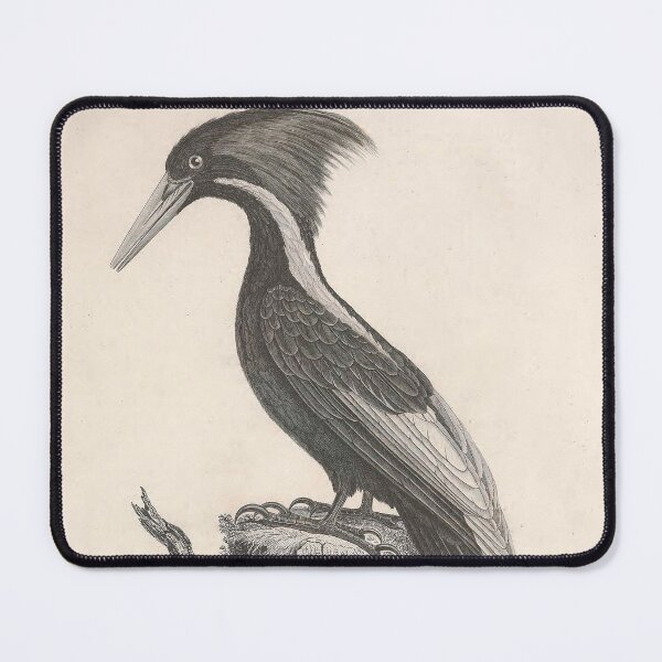 Item preview, Black Throated Gray Warbler designed and sold by ptMaker.