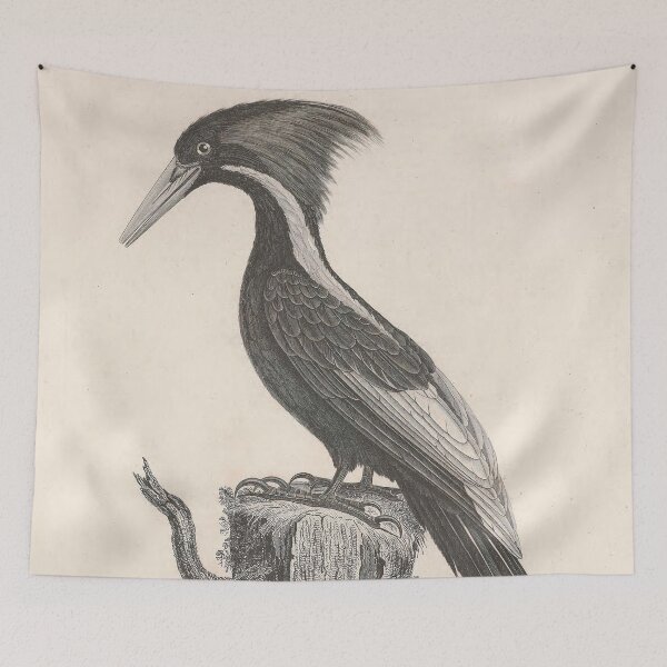 Item preview, Black Throated Gray Warbler designed and sold by ptMaker.