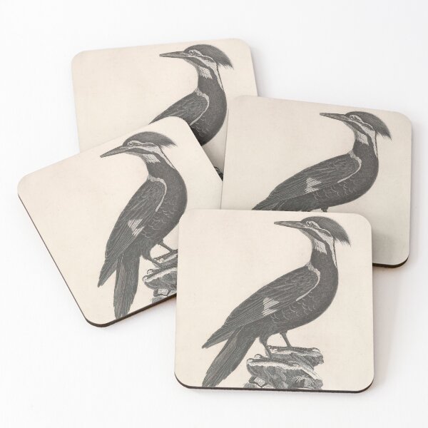 Item preview, El herrerillo negro con cresta roja designed and sold by ptMaker.