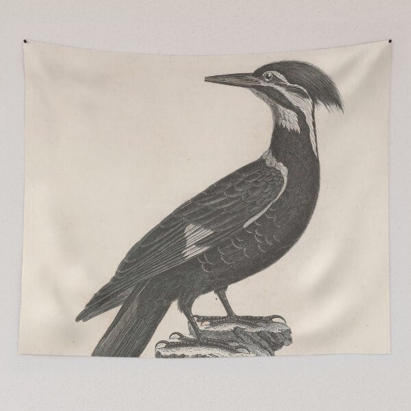 Item preview, The Black Tit with Red Crest designed and sold by ptMaker.