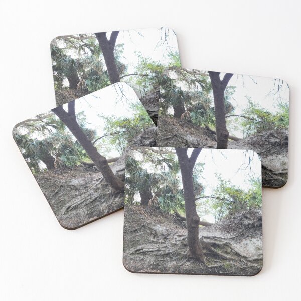 Item preview, Florida tree designed and sold by reformedfruit.