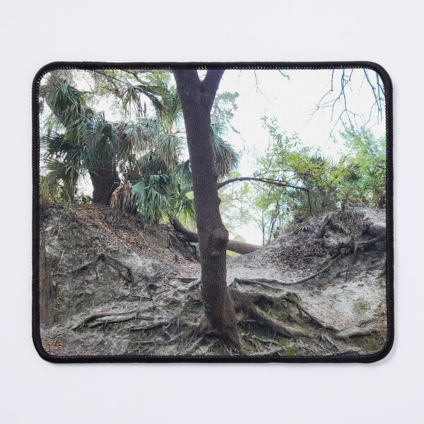 Item preview, Florida tree designed and sold by reformedfruit.