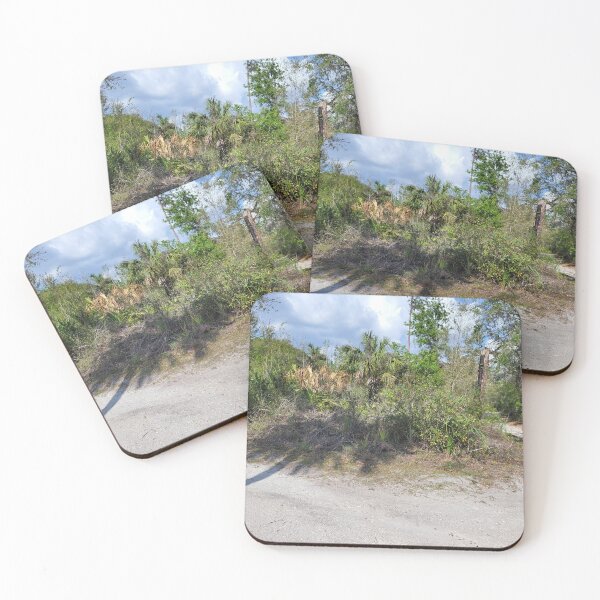 Item preview, Florida trail designed and sold by reformedfruit.