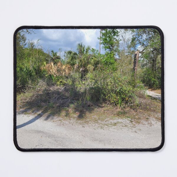 Item preview, Florida trail designed and sold by reformedfruit.