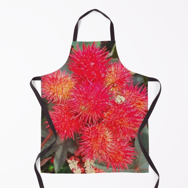 Item preview, Castor Plant Beautiful Red Seed Vessel designed and sold by funkyfreshfinds.