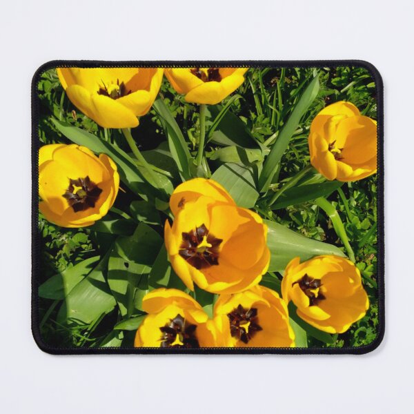 Item preview, Beautiful Yellow Tulips - Yellow Flowers designed and sold by funkyfreshfinds.
