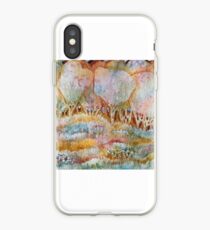 Clearing iPhone Case