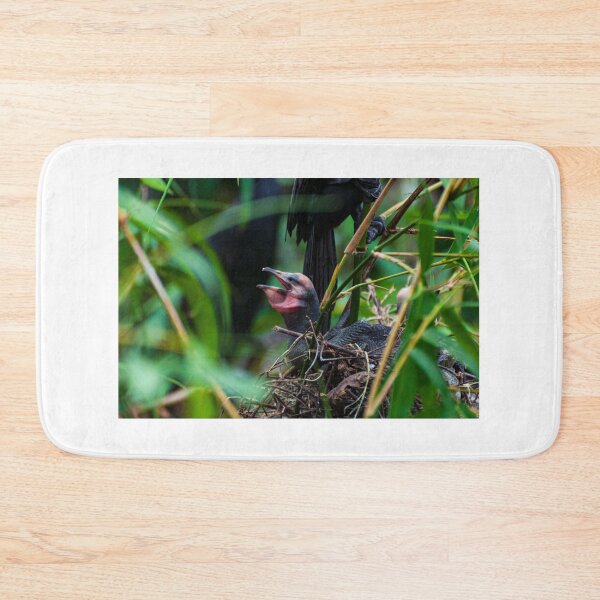 Item preview, Little baby of cormorant bird photography  designed and sold by kstanvir.