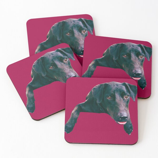 Item preview, Zola pasando el rato designed and sold by BenderDog.